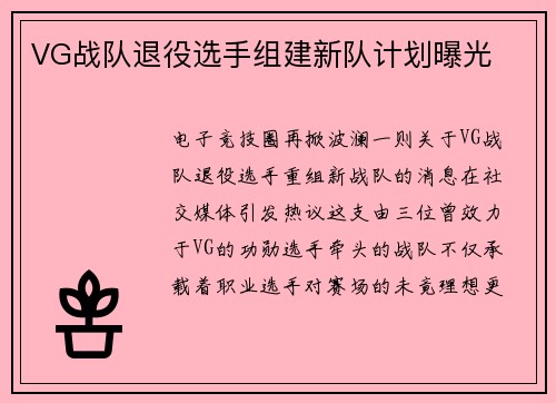 VG战队退役选手组建新队计划曝光