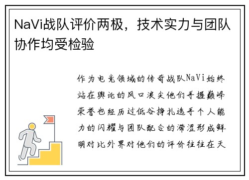 NaVi战队评价两极，技术实力与团队协作均受检验