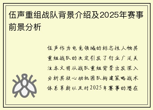 伍声重组战队背景介绍及2025年赛事前景分析